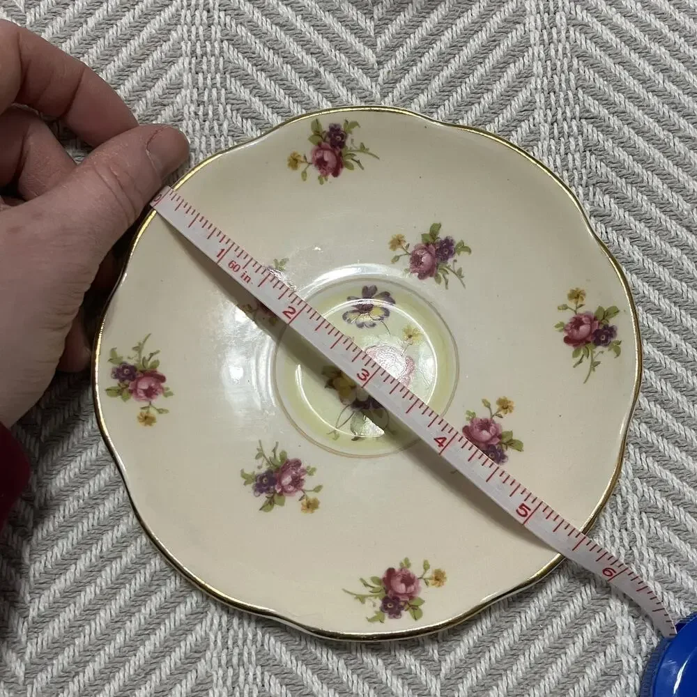 Foley Bone China Rosette Pink and Biqsue Teacup and Saucer Set Yellow Interior